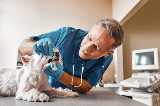 Best Emergency Broken Tooth Repair in Lake Park, NC